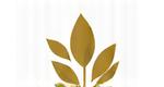 Logo Clinica d'Oro Benevento